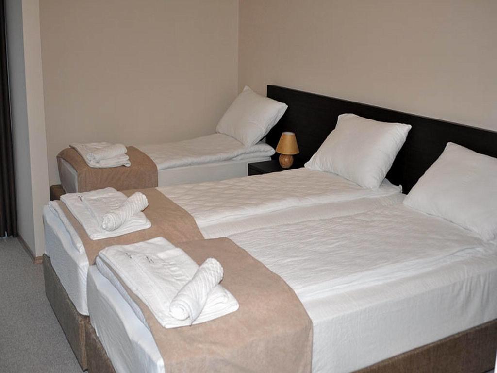 Hotel Jezero Μπορ Εξωτερικό φωτογραφία